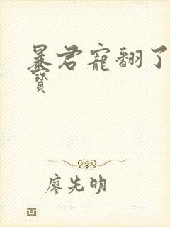 暴君宠翻了小娇宝