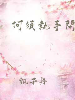 何须执手问年华