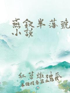 燕钗半落琥珀糖小说