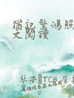 犹记惊鸿照影全文阅读