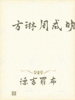 方琳周成明小说