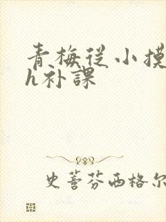 青梅从小摸到大h补课