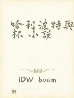 哈利波特与火焰杯 小说