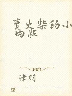 卖火柴的小男孩 肉版