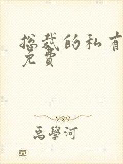 总裁的私有宝贝免费