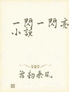 一闪一闪亮晶晶小说