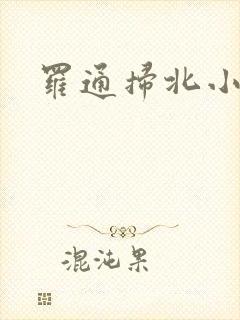 罗通扫北小说