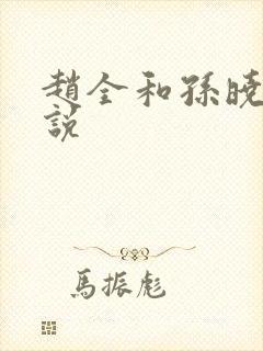 赵全和孙晓云小说