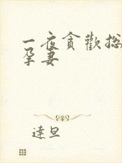 一夜贪欢总裁幸孕妻