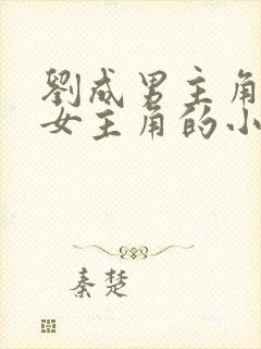 刘成男主角刘雪女主角的小说