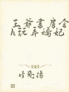 王爷书房含乳尖h玩弄娇妃