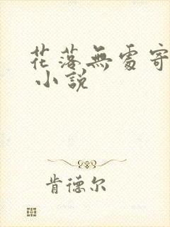 花落无处寄相思 小说