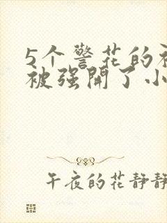 5个警花的初苞被强开了小说