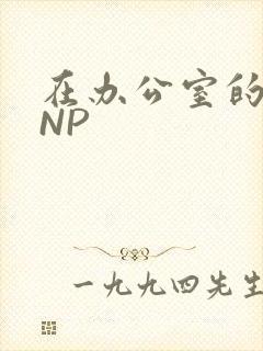 在办公室的椅子NP