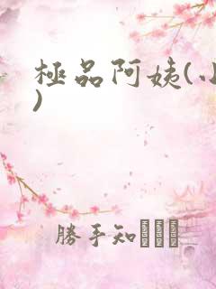 极品阿姨(小说)