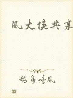 风大侠共享网