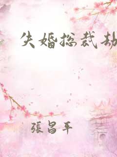 失婚总裁劫前妻