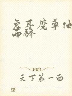 兔耳魔尊他恃宠而骄