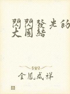 闪闪发光的小说大团结