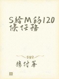 S给M的120条任务