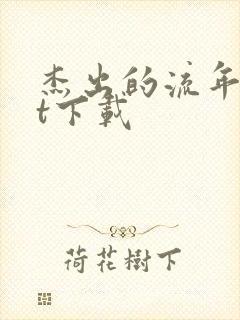 杰出的流年txt下载