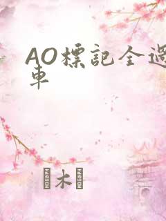 AO标记全过程车