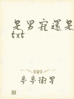 是男宠还是禁脔txt