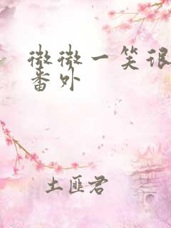 微微一笑很倾城番外