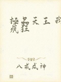 极品天王 我本疯狂
