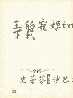王的宠姬txt下载