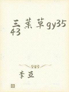 三叶草gy3543