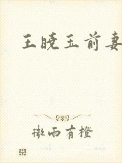 王晓玉前妻