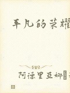 平凡的荣耀小说