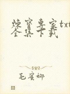 炼宝专家txt全集下载