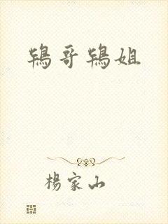 鸨哥鸨姐