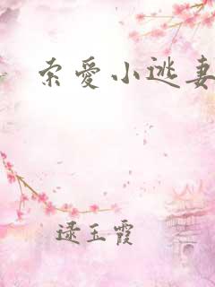 索爱小逃妻
