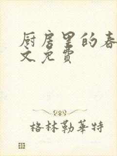 厨房里的春天全文免费