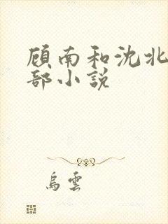 顾南和沈北是哪部小说