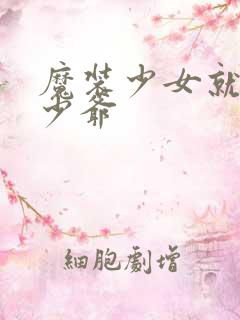 魔装少女就是本少爷