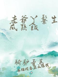 老爷丫鬟生米煮成熟饭