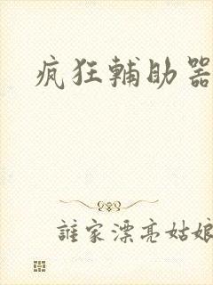 疯狂辅助器