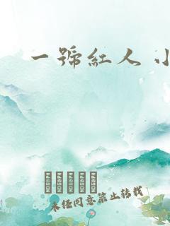 一号红人 小说