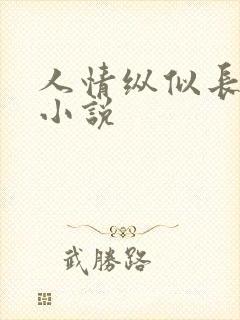 人情纵似长情月小说