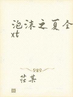 泡沫之夏全集txt