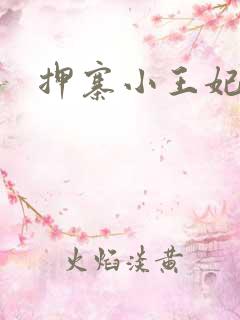 押寨小王妃