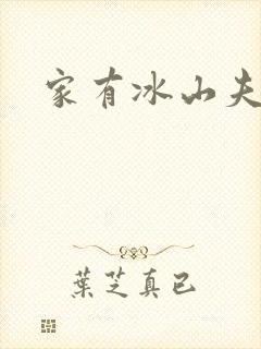 家有冰山夫