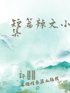 短篇辣文小说合集