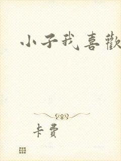小子我喜欢你