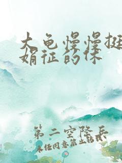 大龟慢慢挺进张娟征的休