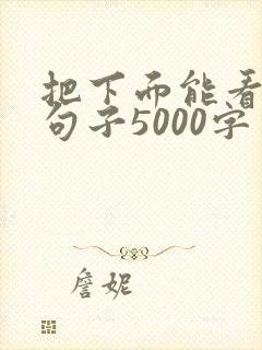 把下面能看湿的句子5000字